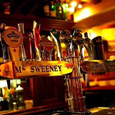 Mcsweeney Arms Szálloda Cill Airne