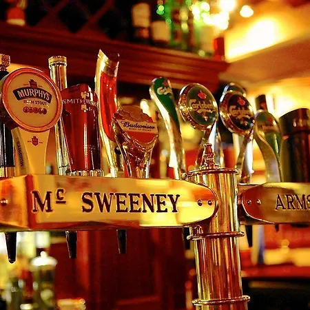 Mcsweeney Arms 킬라니