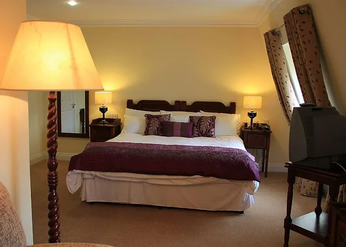 迈克斯维尼亚姆斯酒店 3* 基拉尼