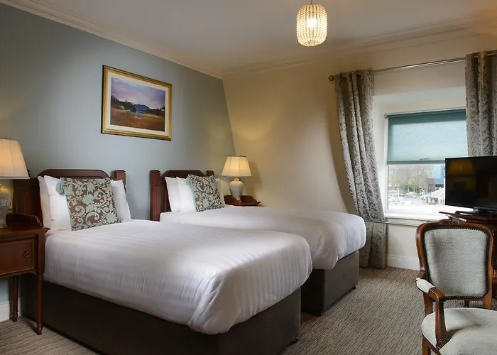 Mcsweeney Arms ホテル キラーニー