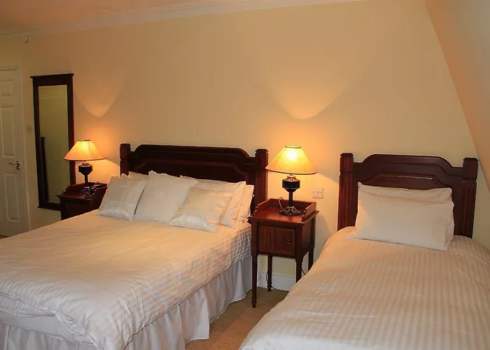 酒店 迈克斯维尼亚姆斯酒店