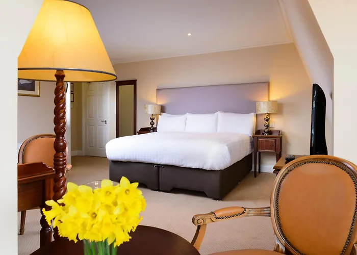 迈克斯维尼亚姆斯酒店 酒店