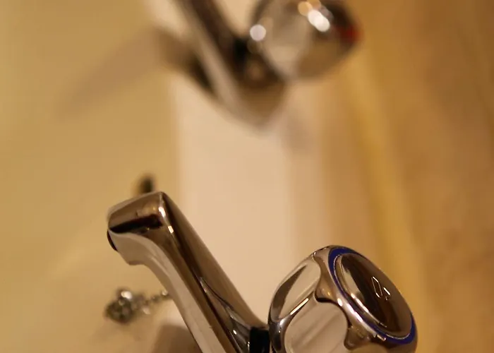 酒店 迈克斯维尼亚姆斯酒店