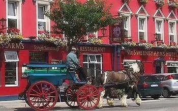 Mcsweeney Arms 3* Cill Airne